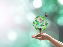 Atık Yönetimi Nedir?