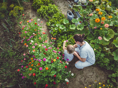 Hobi Bahçesi Nedir?